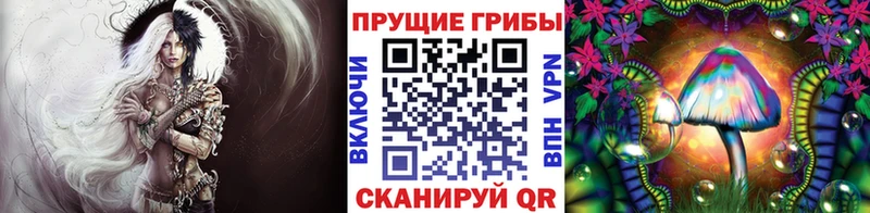 Галлюциногенные грибы MAGIC MUSHROOMS  даркнет состав  Раменское 